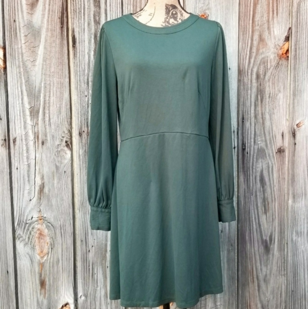 10 Dress LOFT Ann Taylor Green Stretch Knit EUC